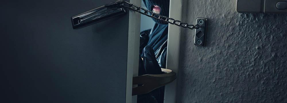 Schaumburg IL Theft Lawyer